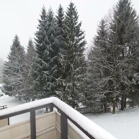 Ferienwohnung Mit Blick In Den Bayrischen Wald Oberhalb Von Sankt Engelmar Sankt Englmar Eksteriør bilde