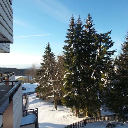 Ferienwohnung Mit Blick In Den Bayrischen Wald Oberhalb Von Sankt Engelmar Sankt Englmar Eksteriør bilde