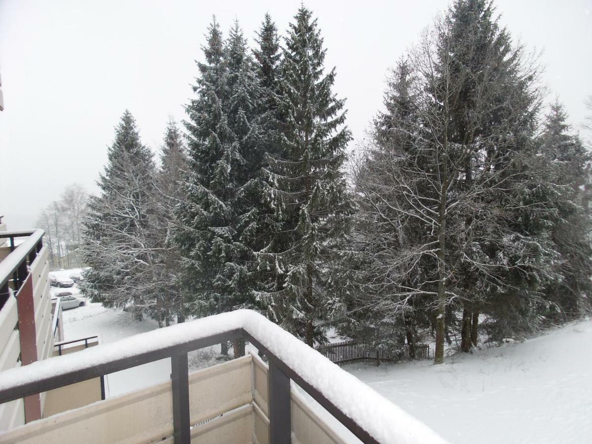 Ferienwohnung Mit Blick In Den Bayrischen Wald Oberhalb Von Sankt Engelmar Sankt Englmar Eksteriør bilde