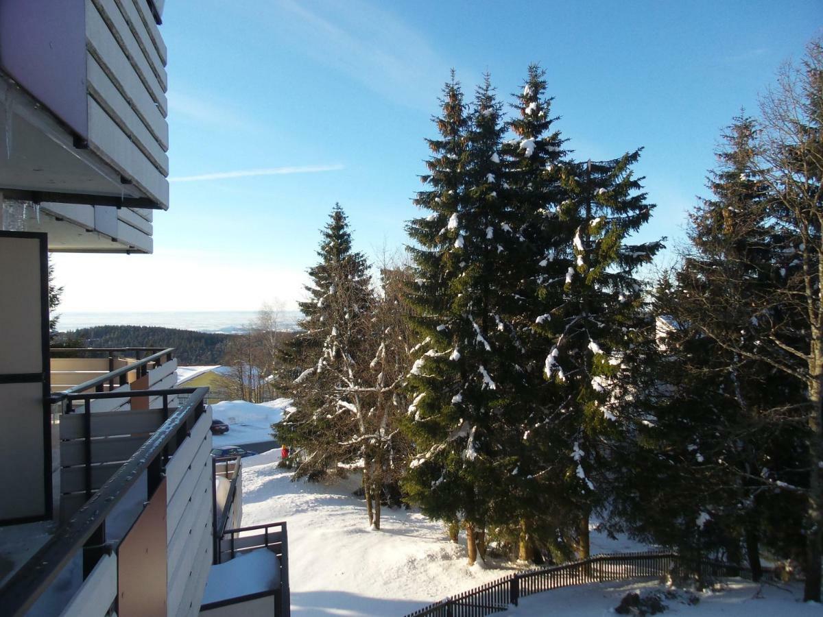 Ferienwohnung Mit Blick In Den Bayrischen Wald Oberhalb Von Sankt Engelmar Sankt Englmar Eksteriør bilde