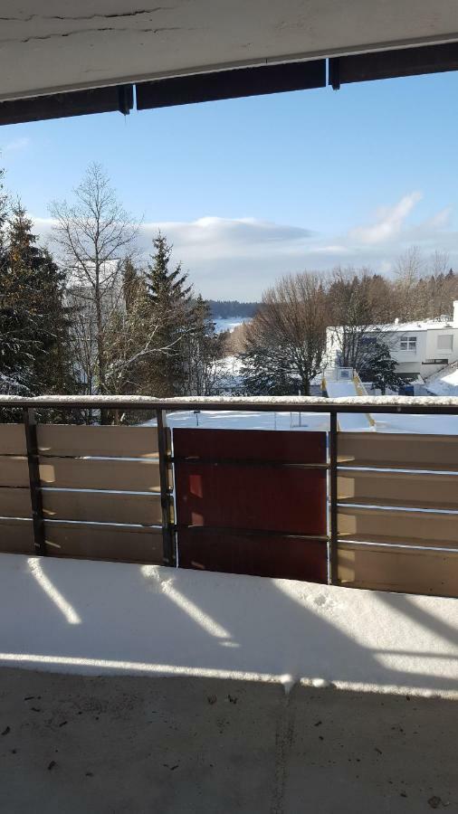 Ferienwohnung Mit Blick In Den Bayrischen Wald Oberhalb Von Sankt Engelmar Sankt Englmar Eksteriør bilde