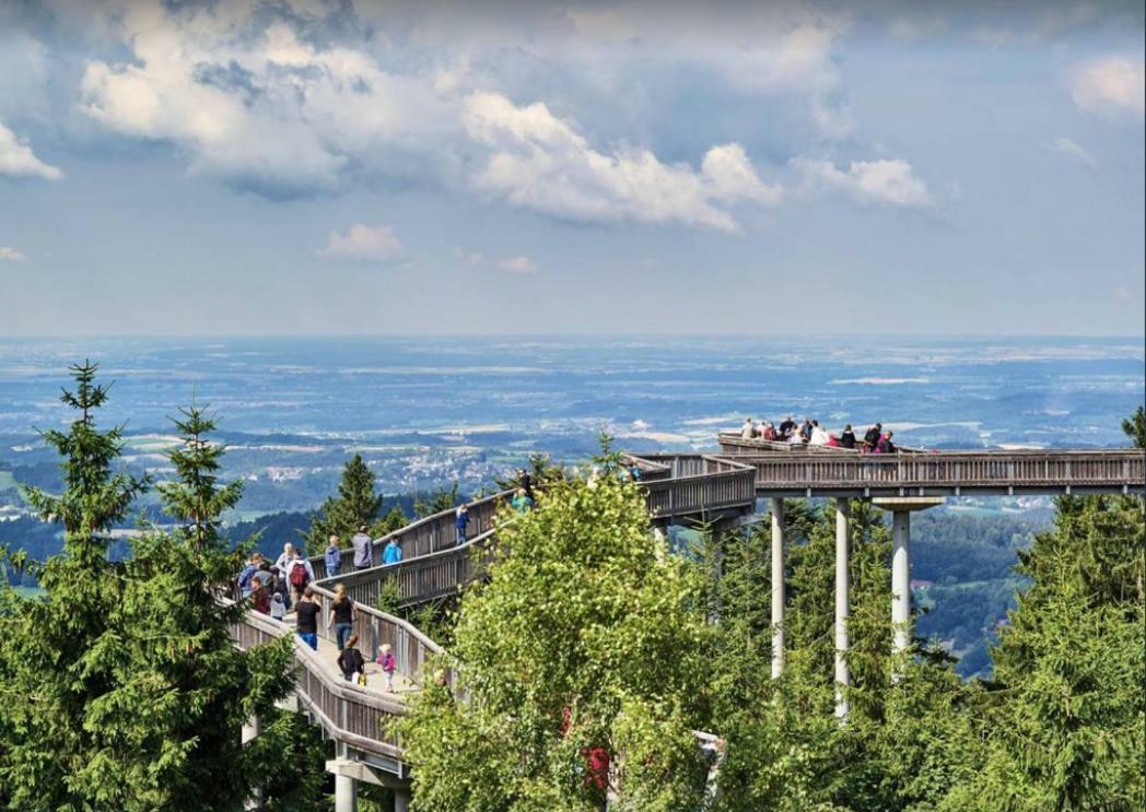 Ferienwohnung Mit Blick In Den Bayrischen Wald Oberhalb Von Sankt Engelmar Sankt Englmar Eksteriør bilde