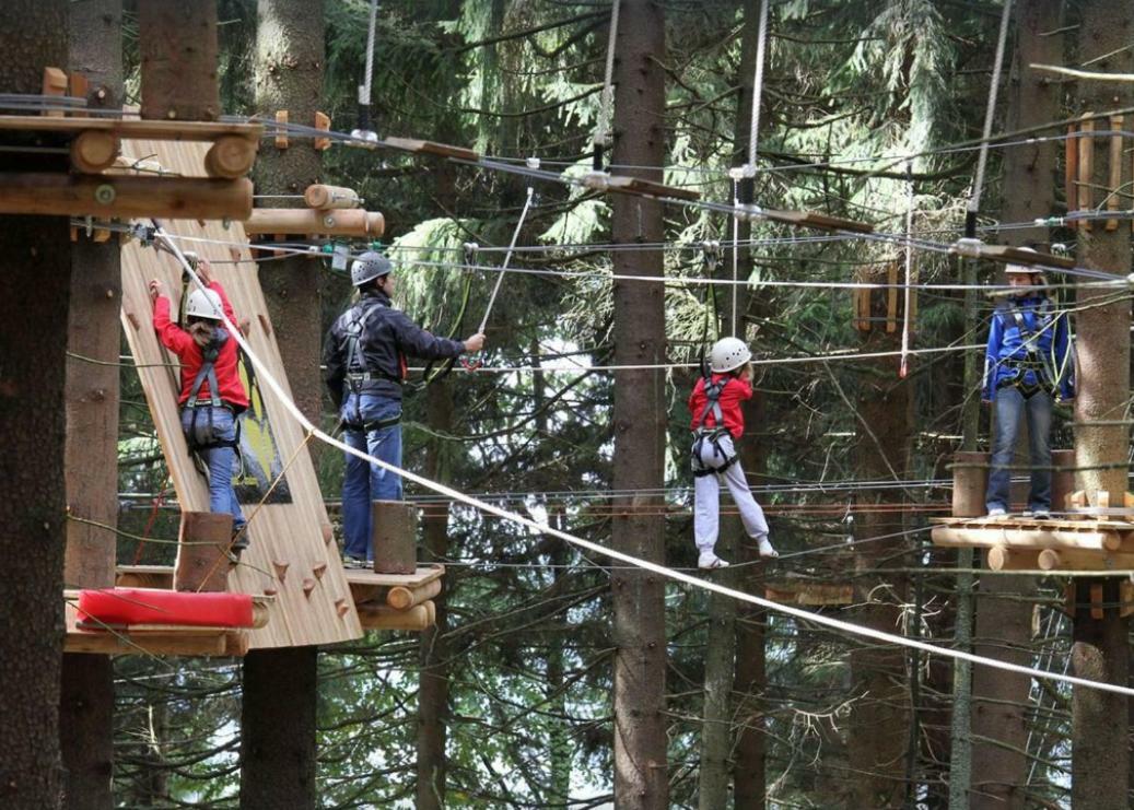 Ferienwohnung Mit Blick In Den Bayrischen Wald Oberhalb Von Sankt Engelmar Sankt Englmar Eksteriør bilde